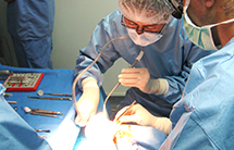 フランス(パリ)