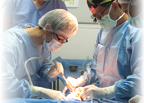 インプラントとは？